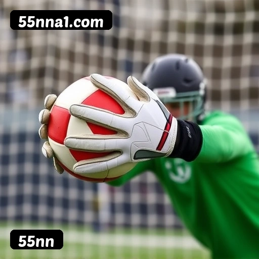 Requisitos do APK da 55nn para Android